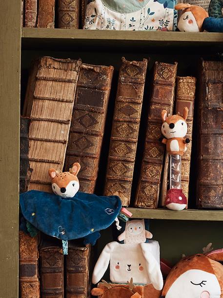 Knuffel Betoverd Bos en zijn koffertje smaragdgroen - vertbaudet enfant 