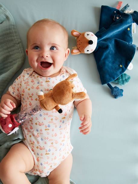 Knuffel Betoverd Bos en zijn koffertje smaragdgroen - vertbaudet enfant 