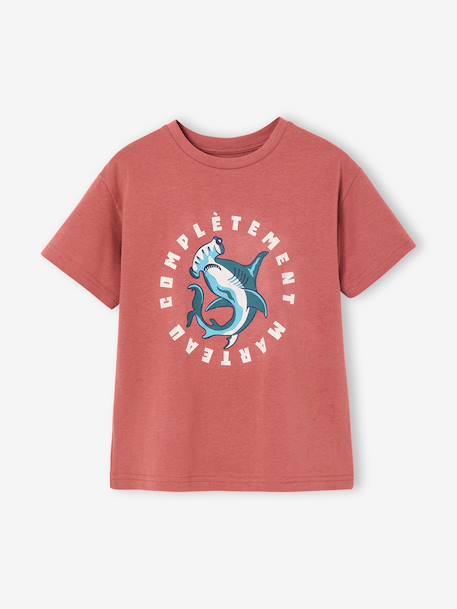 T-shirt voor jongens met een speels motief blauwgroen+oceaanblauw+rozenhout - vertbaudet enfant 