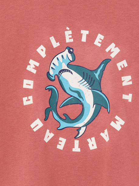 T-shirt voor jongens met een speels motief blauwgroen+oceaanblauw+rozenhout - vertbaudet enfant 