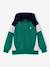 Sweater met rits jongen met capuchon coloblock bordeauxrood+gemêleerd grijs+groen+middenblauw+okergeel - vertbaudet enfant 