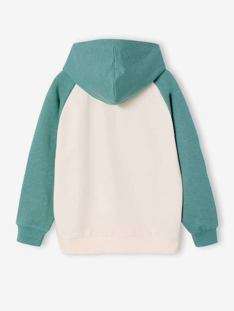 Sweater met capuchon jongen Pat patrouille saliegroen - vertbaudet enfant 