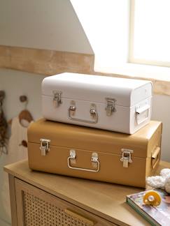 -Set van 2 metalen koffers