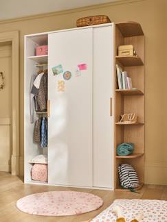 -Kast met 2 schuifdeuren + bibliotheek JAPI
