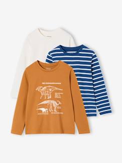 -Set van 3 t-shirts voor jongens
