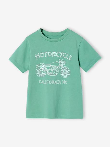 T-shirt voor jongens met print blauwgroen+gemêleerd wit+middenblauw+mintgroen+okergeel+olijf+terracotta - vertbaudet enfant 