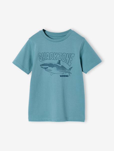 T-shirt voor jongens met print blauwgroen+gemêleerd wit+middenblauw+mintgroen+okergeel+olijf+terracotta - vertbaudet enfant 