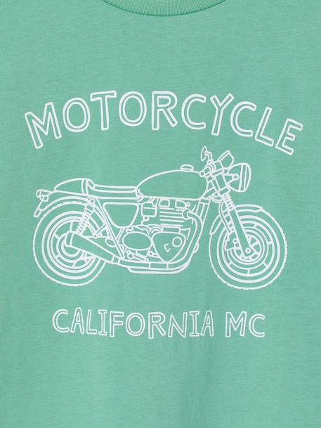 T-shirt voor jongens met print blauwgroen+gemêleerd wit+middenblauw+mintgroen+okergeel+olijf+terracotta - vertbaudet enfant 