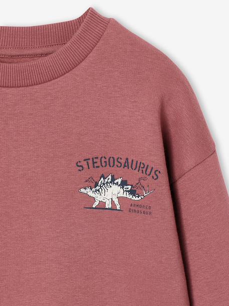 Set van 2 sweaters 'Cool and Fun' terracotta+terracottategel - vertbaudet enfant 