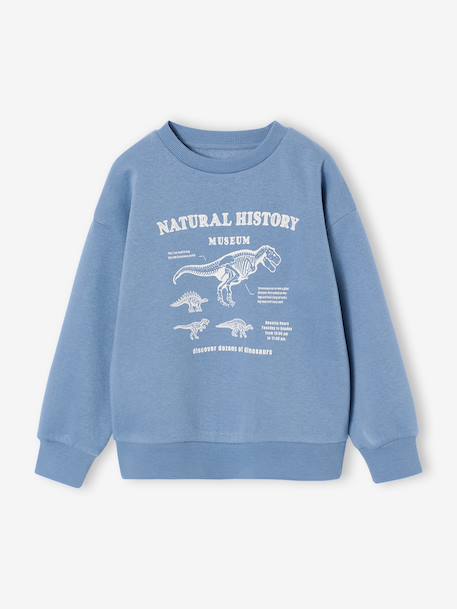 Set van 2 sweaters 'Cool and Fun' terracotta+terracottategel - vertbaudet enfant 