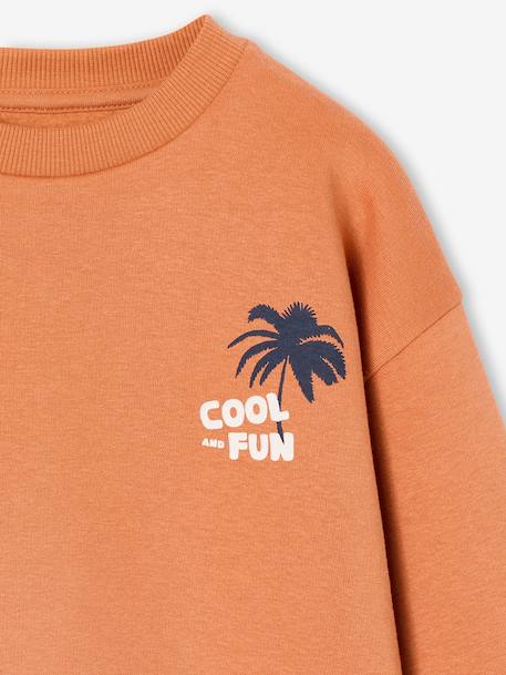 Set van 2 sweaters 'Cool and Fun' terracotta+terracottategel - vertbaudet enfant 