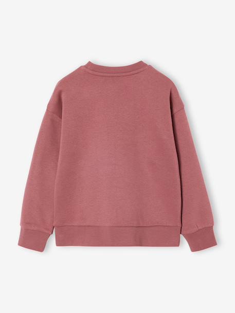 Set van 2 sweaters 'Cool and Fun' terracotta+terracottategel - vertbaudet enfant 