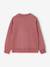Set van 2 sweaters 'Cool and Fun' terracotta+terracottategel - vertbaudet enfant 
