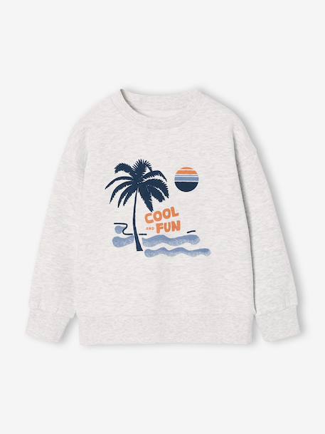Set van 2 sweaters 'Cool and Fun' terracotta+terracottategel - vertbaudet enfant 