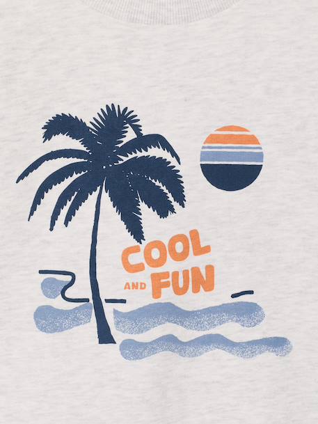 Set van 2 sweaters 'Cool and Fun' terracotta+terracottategel - vertbaudet enfant 