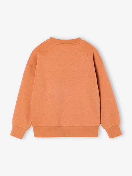 Set van 2 sweaters 'Cool and Fun' terracotta+terracottategel - vertbaudet enfant 