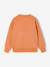 Set van 2 sweaters 'Cool and Fun' terracotta+terracottategel - vertbaudet enfant 