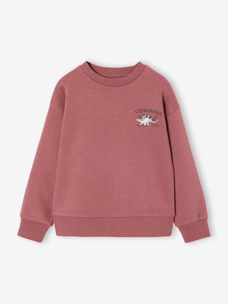 Set van 2 sweaters 'Cool and Fun' terracotta+terracottategel - vertbaudet enfant 