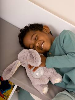 CLOUD B Dreams Buddies Sterrenlicht Nachtlampje   - vertbaudet enfant