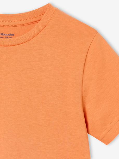 Set van 3 T-shirt met korte mouwen amandelgroen+karamel+marineblauw+pecannoot+petrolblauw+saliegroen - vertbaudet enfant 