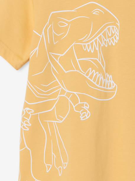 T-shirt voor jongens met print blauwgroen+gemêleerd wit+middenblauw+mintgroen+okergeel+olijf+terracotta - vertbaudet enfant 