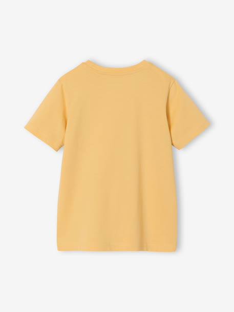 T-shirt voor jongens met print blauwgroen+gemêleerd wit+middenblauw+mintgroen+okergeel+olijf+terracotta - vertbaudet enfant 