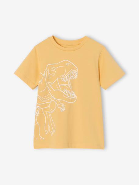 T-shirt voor jongens met print blauwgroen+gemêleerd wit+middenblauw+mintgroen+okergeel+olijf+terracotta - vertbaudet enfant 