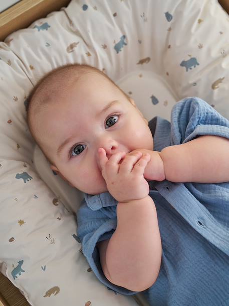 Verschoningsmatras VERTBAUDET Leeuwen welp beige, bedrukt+ecru+groen, bedrukt+WIT GEDRUKTE - vertbaudet enfant 
