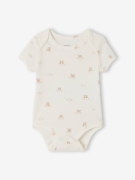 Set van 5 body's met korte mouwen, konijn en wolk ecru - vertbaudet enfant 