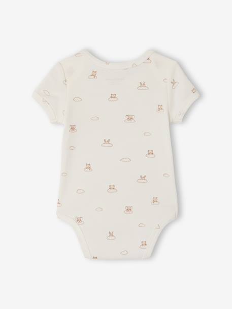 Set van 5 body's met korte mouwen, konijn en wolk ecru - vertbaudet enfant 