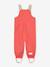 Waterdichte salopet baby MATWALENTAYA MINI A TURE donkerblauw+saliegroen+terracottategel - vertbaudet enfant 