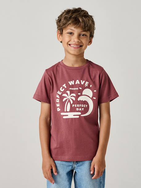 T-shirt voor jongens met print blauwgroen+gemêleerd wit+middenblauw+mintgroen+okergeel+olijf+terracotta - vertbaudet enfant 