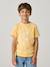 T-shirt voor jongens met print blauwgroen+gemêleerd wit+middenblauw+mintgroen+okergeel+olijf+terracotta - vertbaudet enfant 
