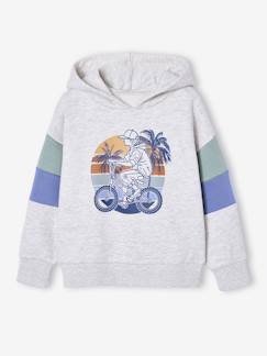 -Sweater met capuchon met print