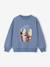 Sweater met ronde hals surf chambrayblauw+ecru - vertbaudet enfant 