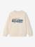 Sweater met ronde hals surf chambrayblauw+ecru - vertbaudet enfant 