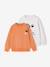 Set van 2 sweaters 'Cool and Fun' terracotta+terracottategel - vertbaudet enfant 