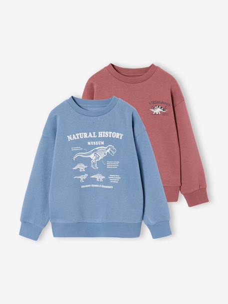 Set van 2 sweaters 'Cool and Fun' terracotta+terracottategel - vertbaudet enfant 
