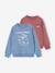 Set van 2 sweaters 'Cool and Fun' terracotta+terracottategel - vertbaudet enfant 