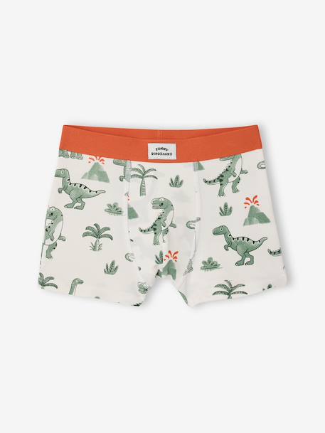 Set van 5 boxershorts dino inktblauw - vertbaudet enfant 