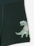Set van 5 boxershorts dino inktblauw - vertbaudet enfant 