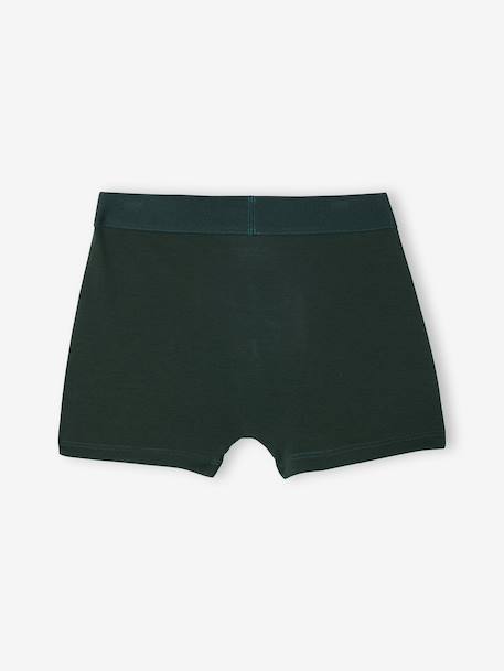 Set van 5 boxershorts dino inktblauw - vertbaudet enfant 