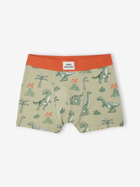 Set van 5 boxershorts dino inktblauw - vertbaudet enfant 