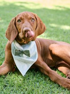 -Gestreept katoenen bandanaslabbetje voor honden