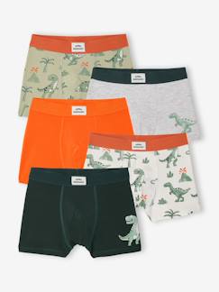 -Set van 5 boxershorts dino
