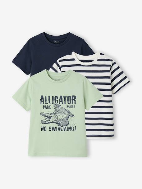 Set van 3 T-shirt met korte mouwen amandelgroen+karamel+marineblauw+pecannoot+petrolblauw+saliegroen - vertbaudet enfant 