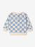 Baby sweater voor jongens 'Team Soleil' grijsblauw - vertbaudet enfant 