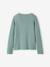 Vest meisje marineblauw+saliegroen - vertbaudet enfant 