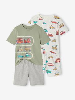 -Set van 2 pyjamashorts voertuigen
