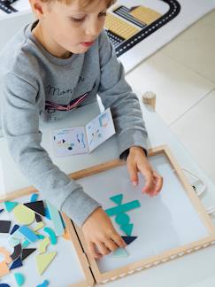 Speelgoed-Educatief speelgoed-Vormen en kleuren-Magnetische koffer geometrische vorm